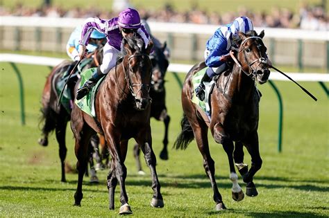 Horse Racing Telecast Schedule .